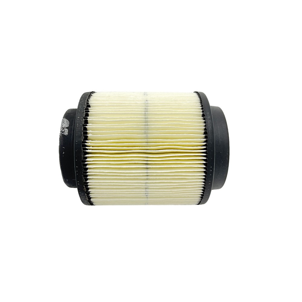 Polaris Filter Assembly, for Specific ATV Models, Genuine OEM - 1253355