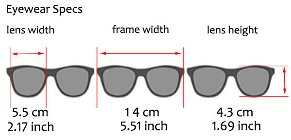 Classic Old School Eazy E Flat GANGSTER CHOLO Sunglasses Super Dark