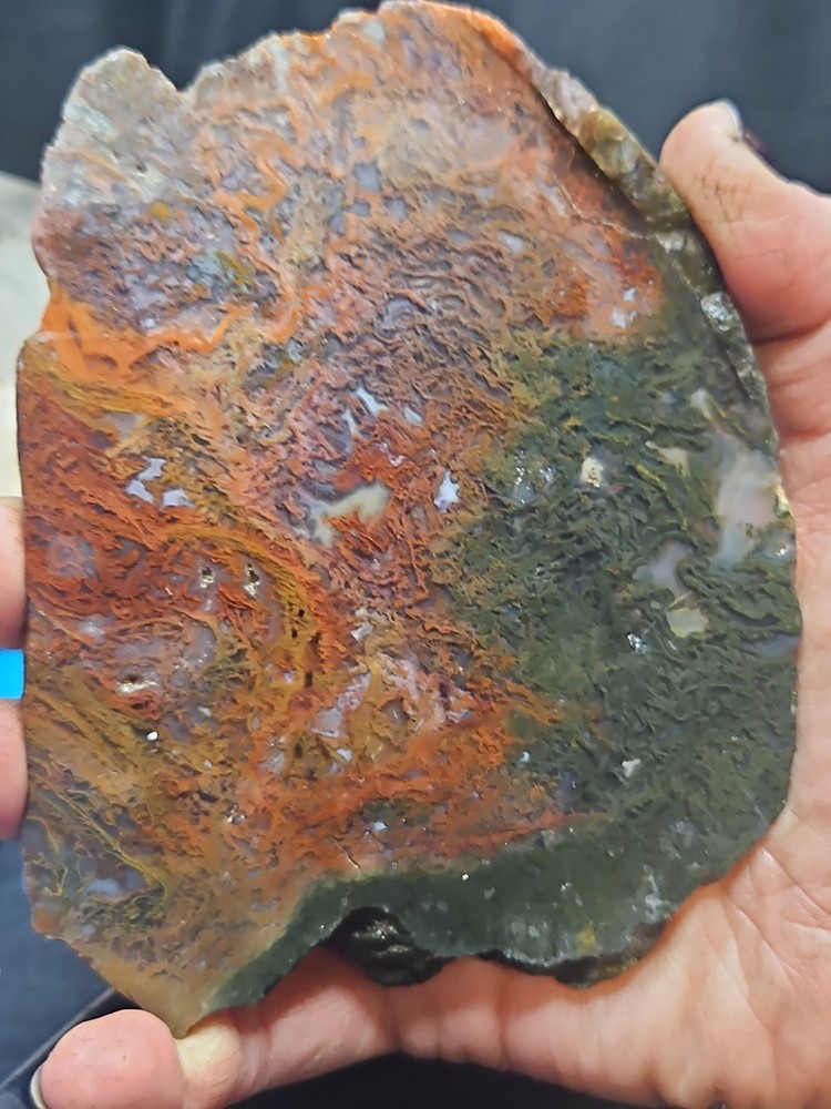 Murray Mountain Moss Agate Slab Specimen (14 oz)