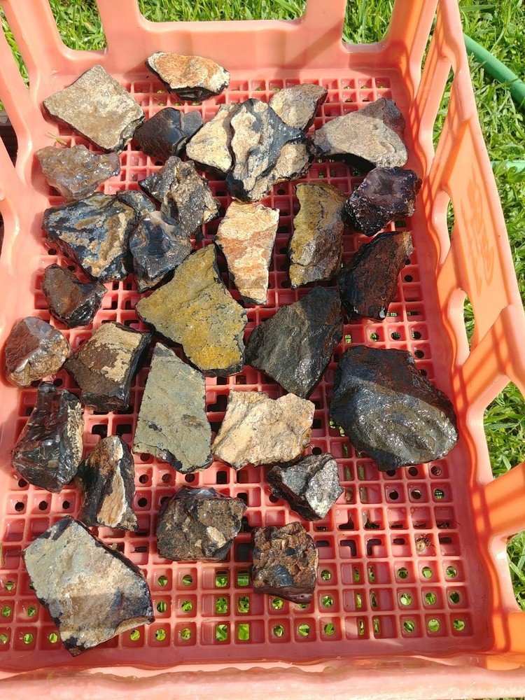 Tree Bark Agate Rough Seam Agate Rough Slabs 5.5 lbs 2532gms.