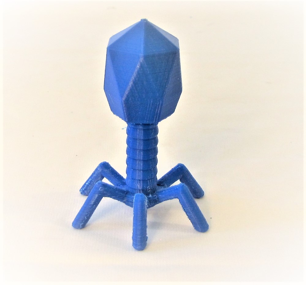 Virus Model Bacteriophage Phage Microbiology Science Education Microscope Gift