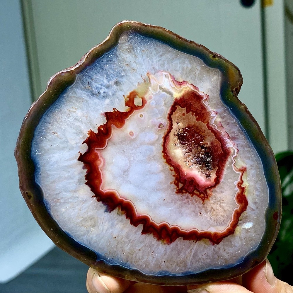 287G Natural Beautiful Agate Geode Druzy Slice Extra Large Gemstone
