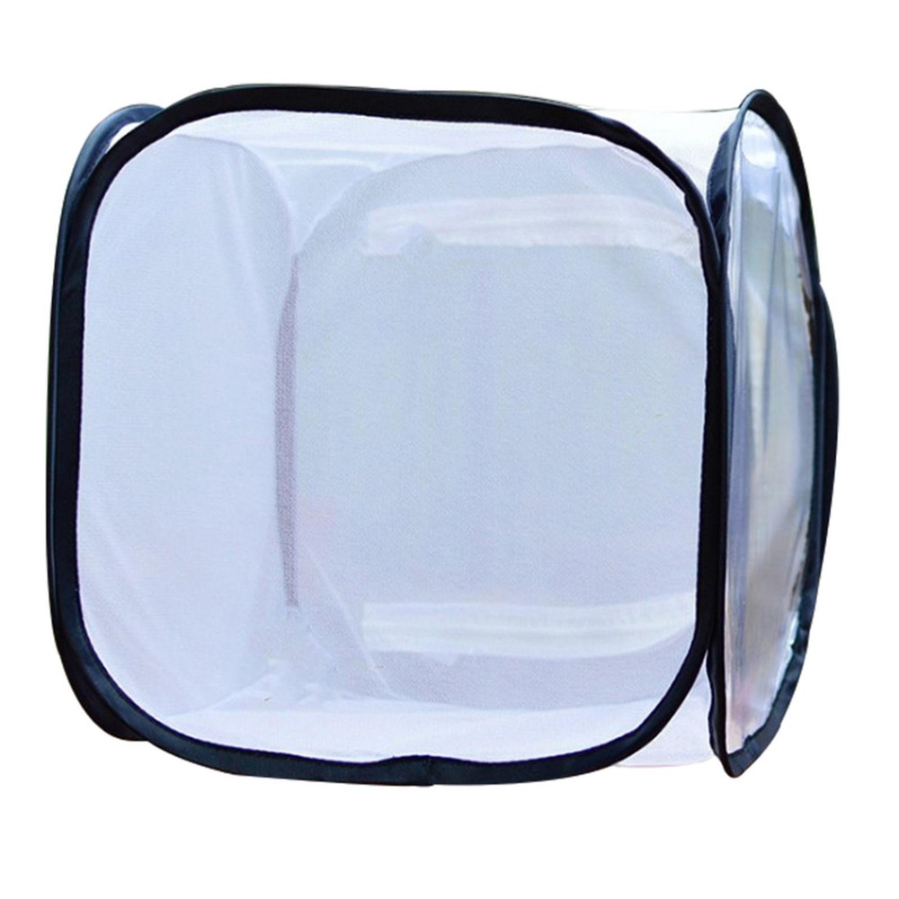 and Butterfly Cage for Nature Observation s Raising