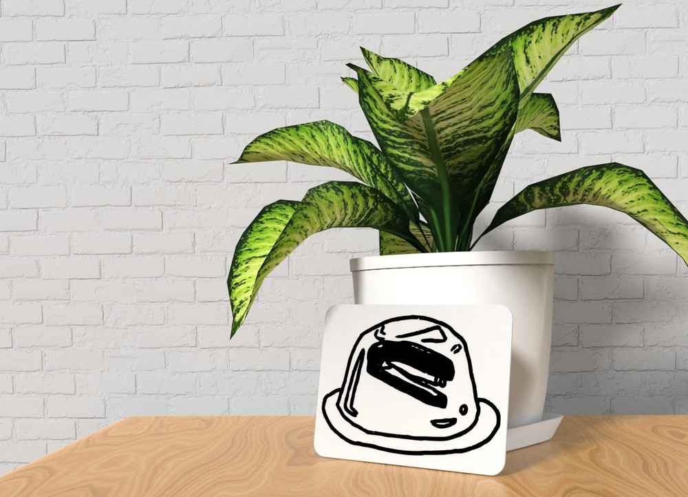 Hat | Funny sign For Home or Office