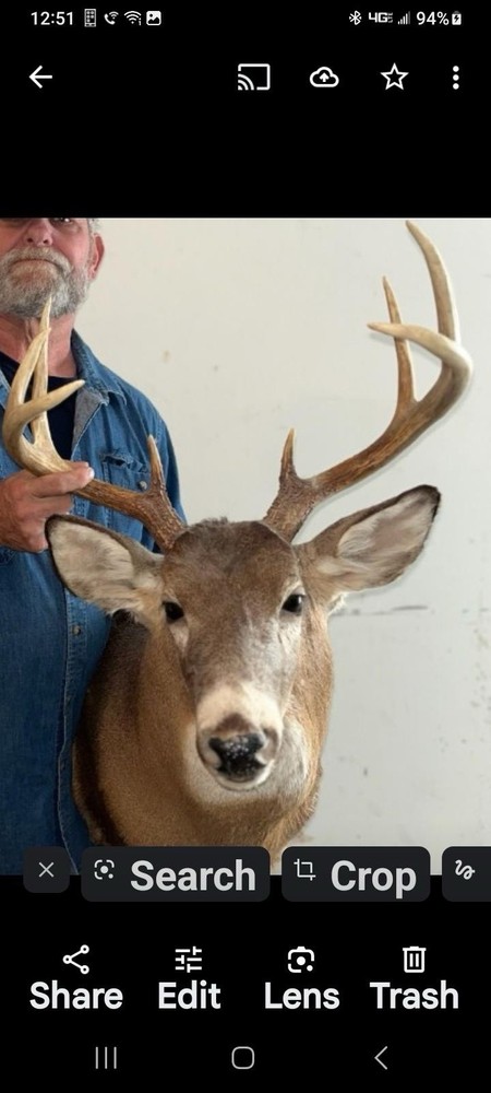 Deerheads