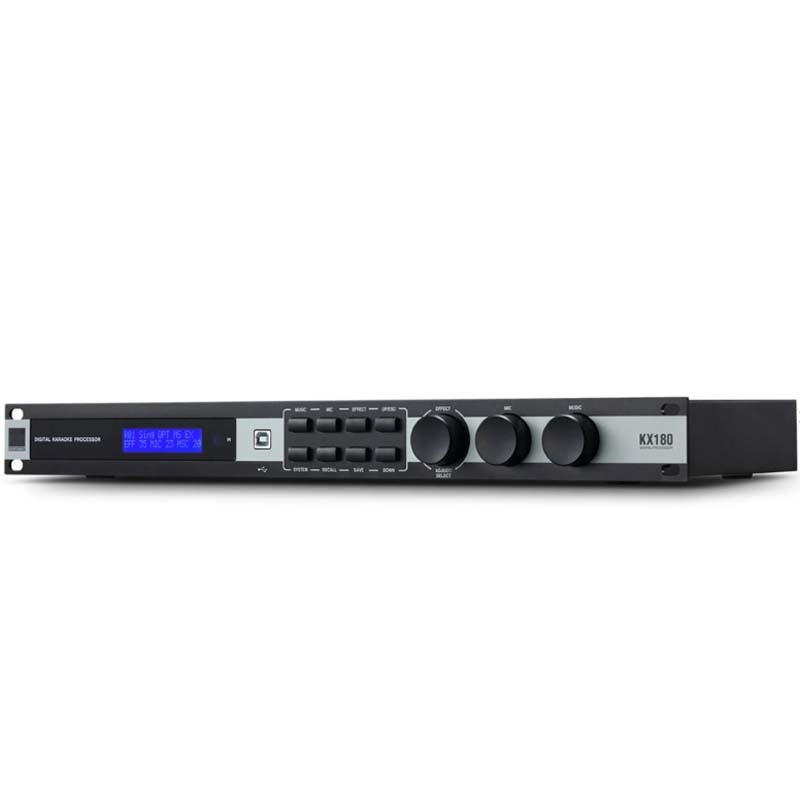 Premium Digital Karaoke Sound Processor with Professional Performance​