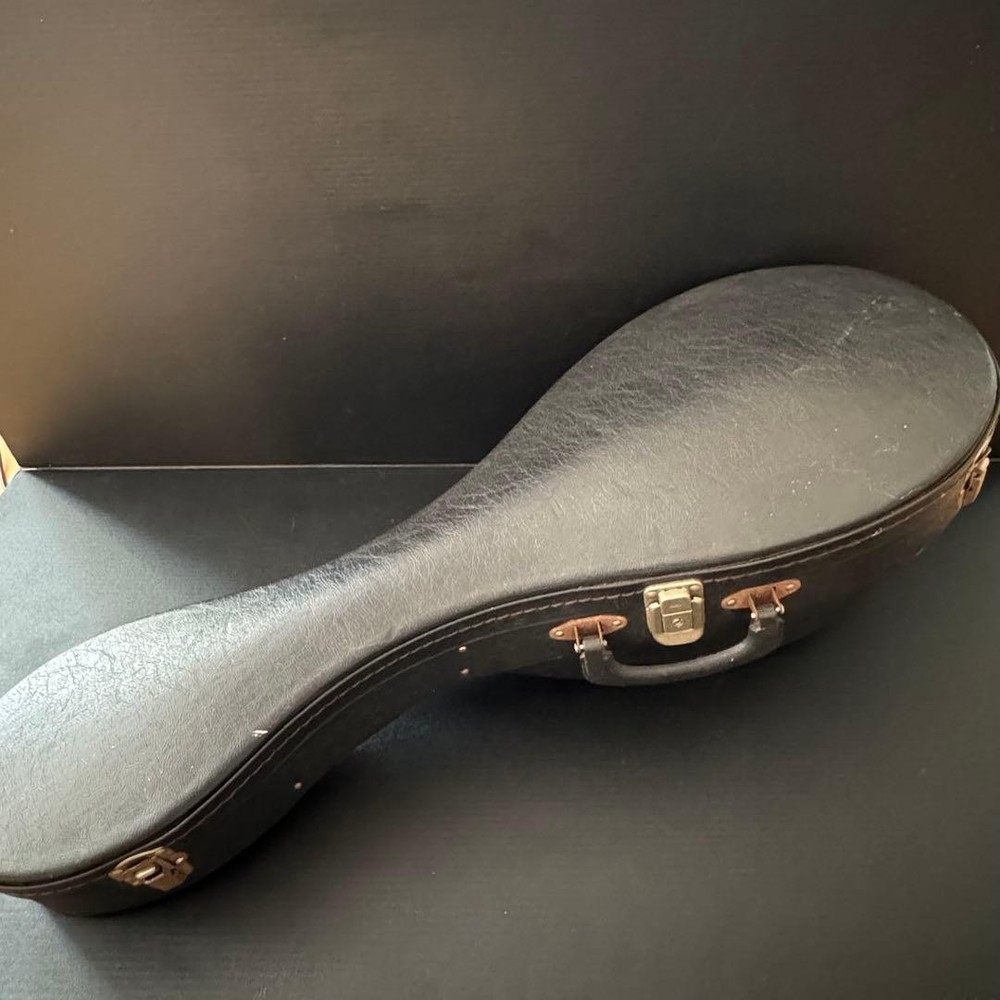 [Hard case ] SUZUKI Mandolin M-215