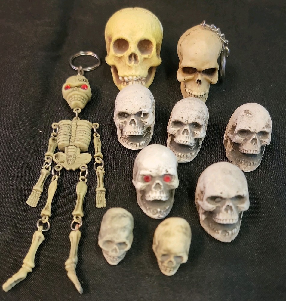 10 Piece Skull Lot