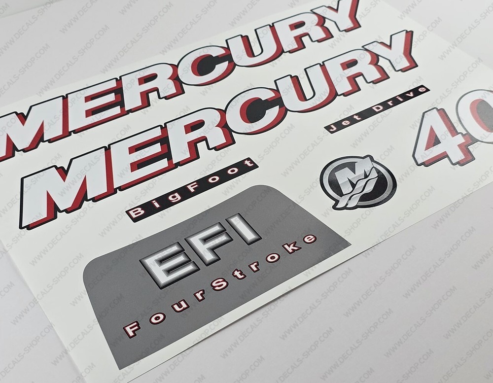 Mercury 40 hp Four Stroke EFI 2006 2010 Set