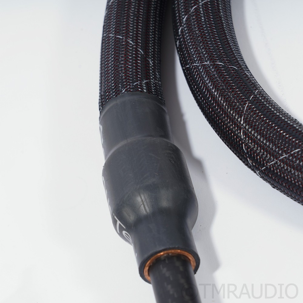 Cerious Technologies Lumniscate Speaker Cables; 8ft Pair