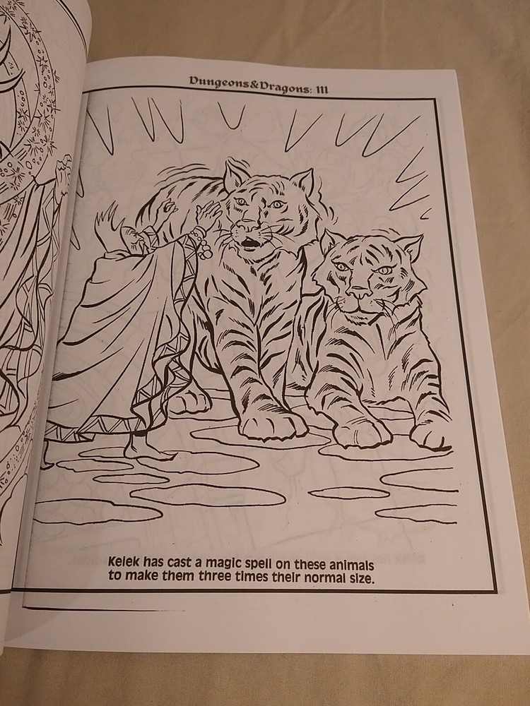 Dungeons and Dragons Coloring Book