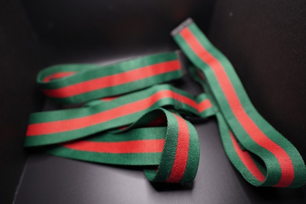Custom Snowboard / Skateboard Shoulder Strap Universal Gucci Inspired