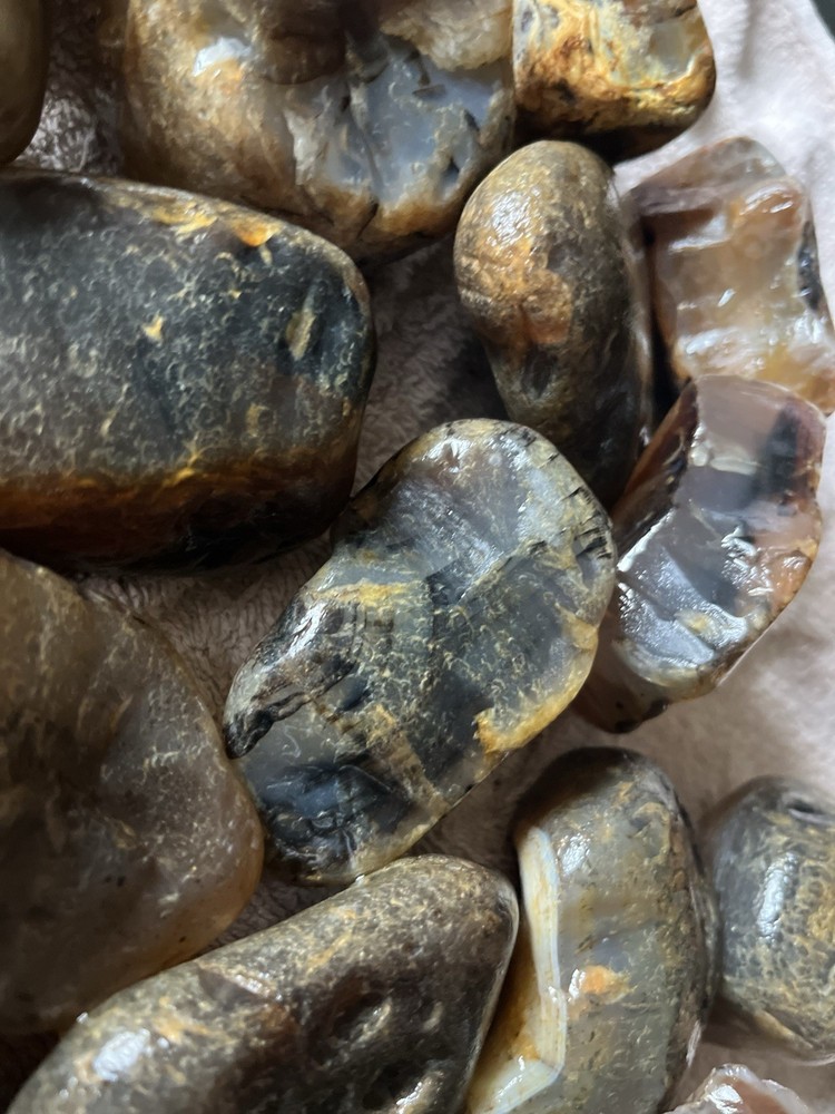 10 Lbs Rough Montana Agate (49)