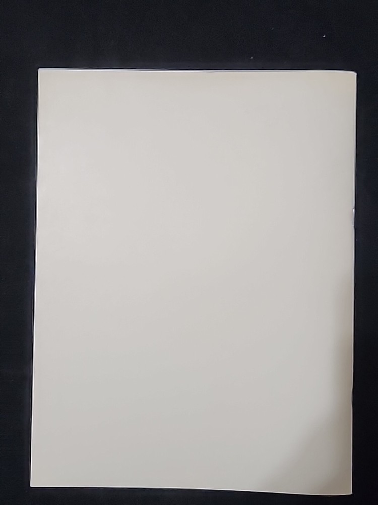 BAR BRAIN MANUAL US GAMES