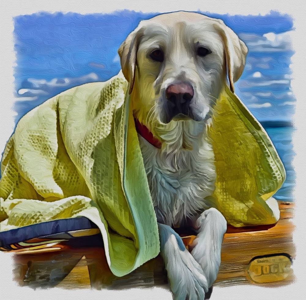 10 Blank Digitalized Painted Greeting Cards: Dogs