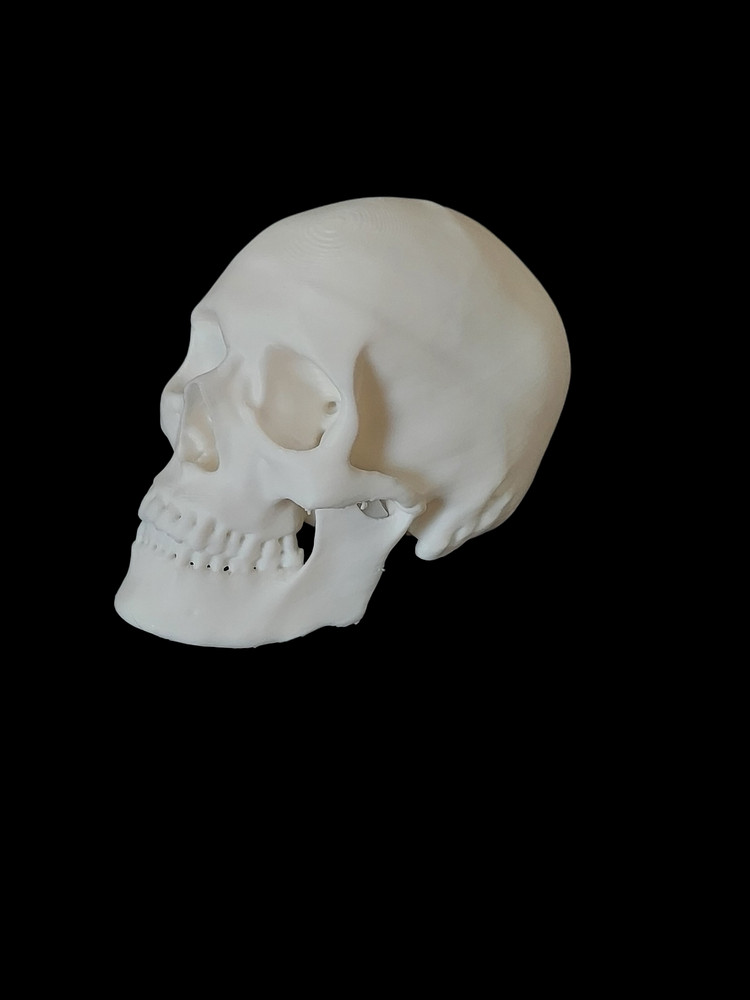 Mini Human Skull Replica – 3D Printed Bone Color Model – Realistic Gothic Decor