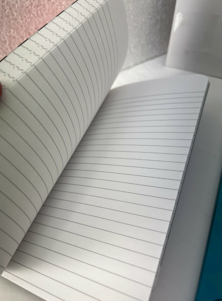 FULL FRONTAL Samantha Bee RIGGED 2 PACK LINED NOTEBOOK 2 PACK ELECTION