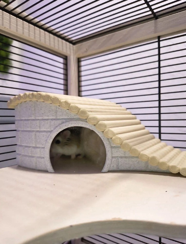 Hobbit House for Hamsters