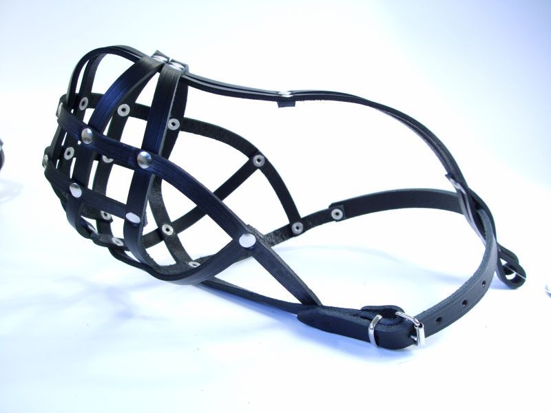 Light Leather dog Muzzle Chow Chow & Other similar snouts