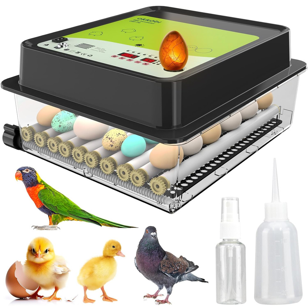 OBI-36 Incubator for Hatching Eggs – 36 Eggs, Easy to Use, Stable Temperature &