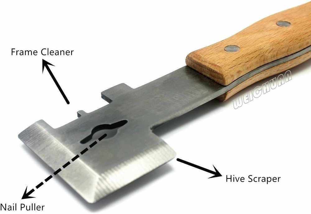 Efficient Hive Maintenance Tool: Multifunction Stainless Steel Beekeeper Scraper