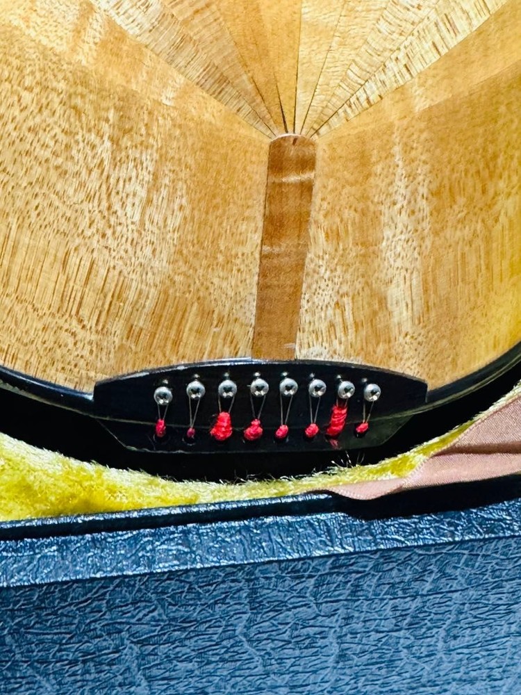 Hanako Yokouchi Mandolin