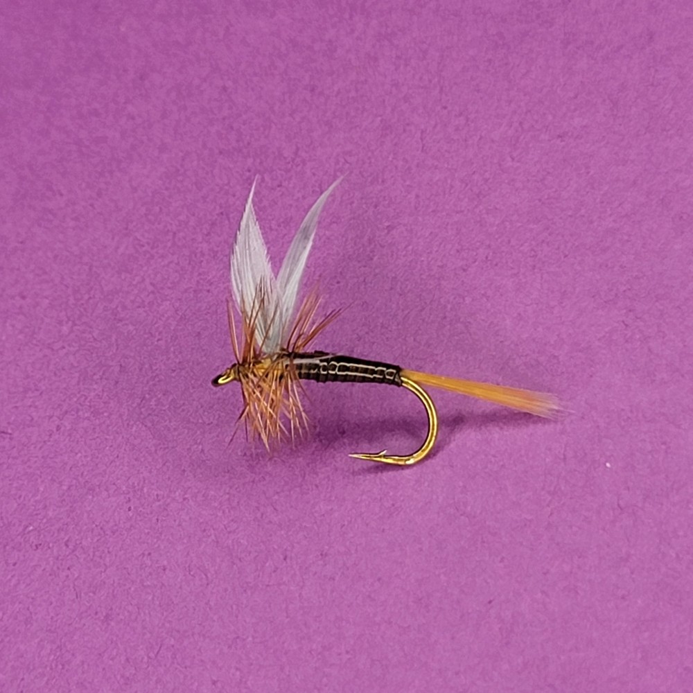 Ginger Quill | Size #14