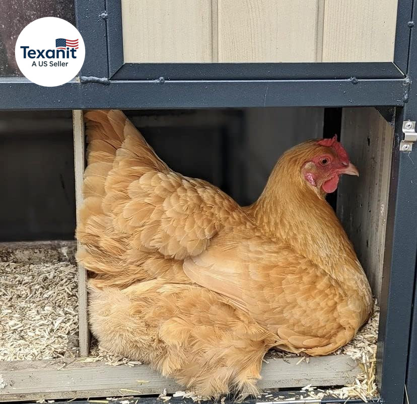 , Naturally Grown Hemp Pet Bedding for Chickens, Nesting Boxes, Rabbits, Hamster