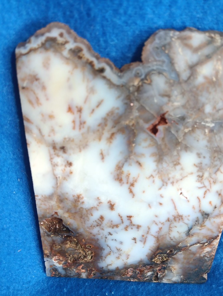 Graveyard Point Plume Agate rock slab lapidary cabbing 4x6