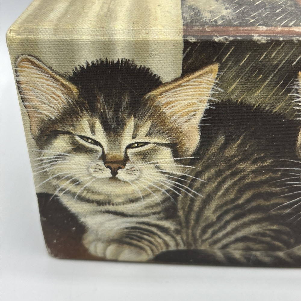 Primitive Tissue Box Bob’s Boxes All Creatures Cats Kittens Rainy Window VTG