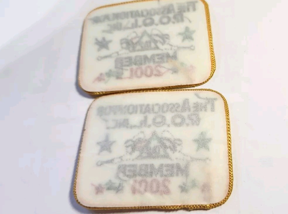 TAP The Association for Pool 2001 Member Patch