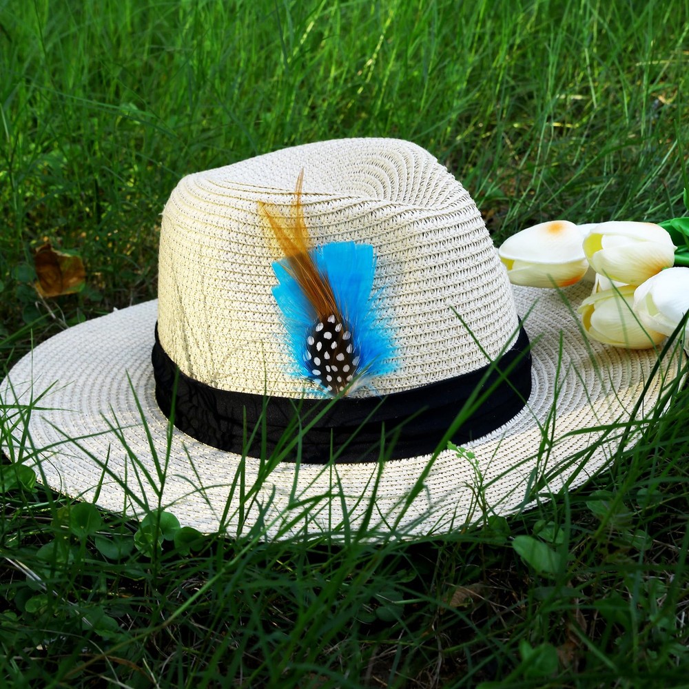 SendyFeather Hat Feathers 20 Styles Natural Assorted 4-6Inch, Multicolored