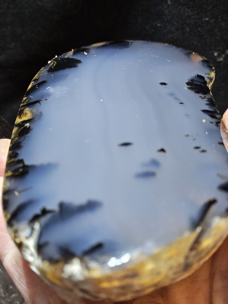 Montana Agate w/ Dendric Polished Specimen (1lb)