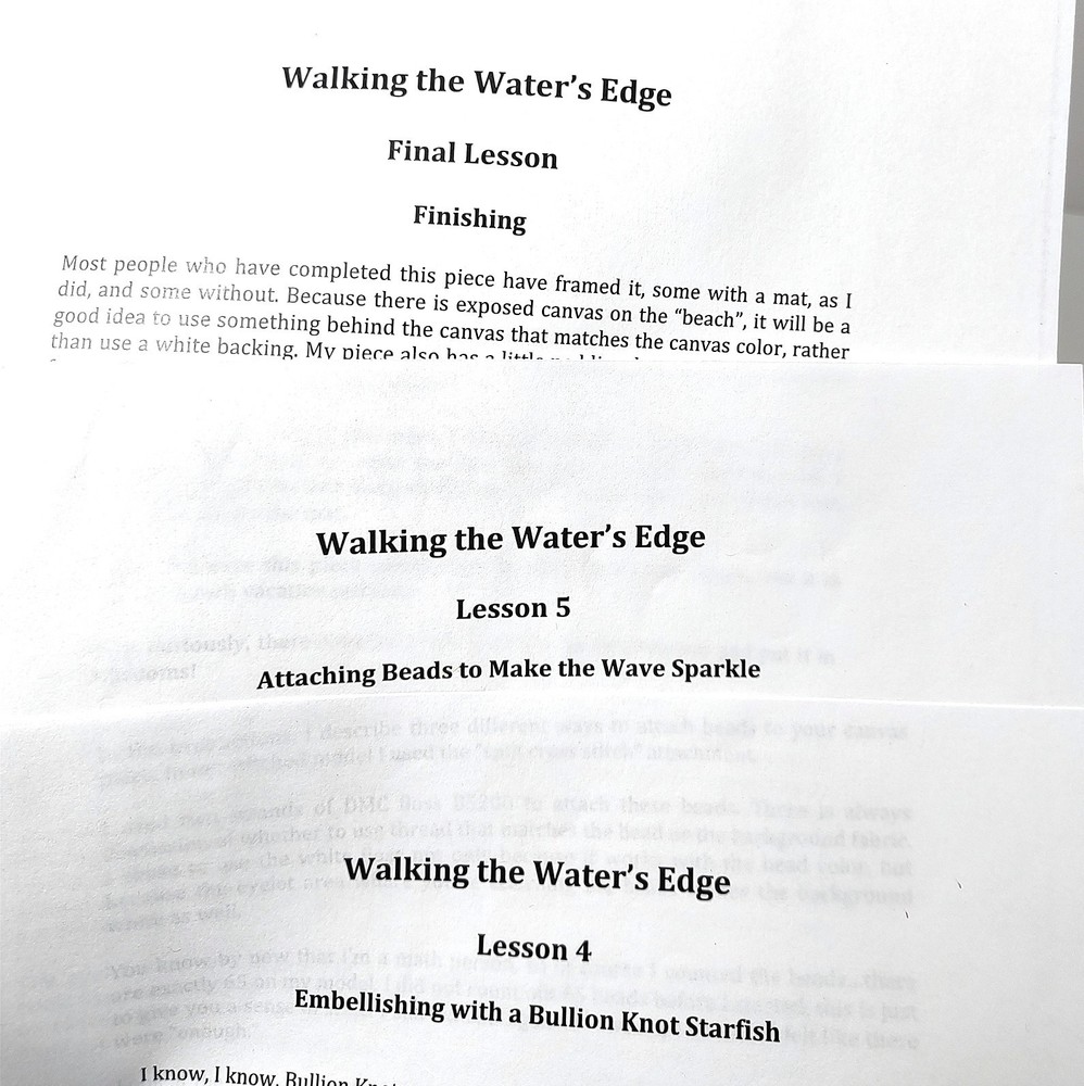 Diane Herrmann Needlepoint Pattern Walking Water’s Edge + RETIRED Class Lessons