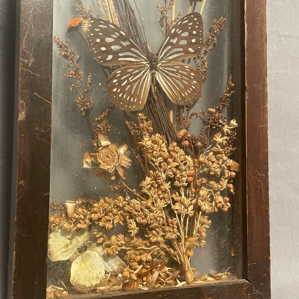 Autumn Butterfly Shadowbox With Fall Decor