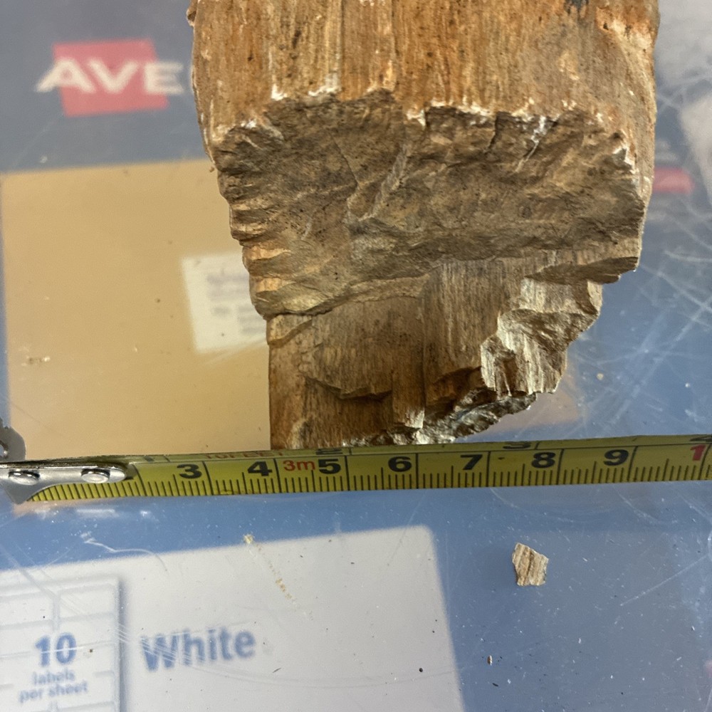 petrified wood rough