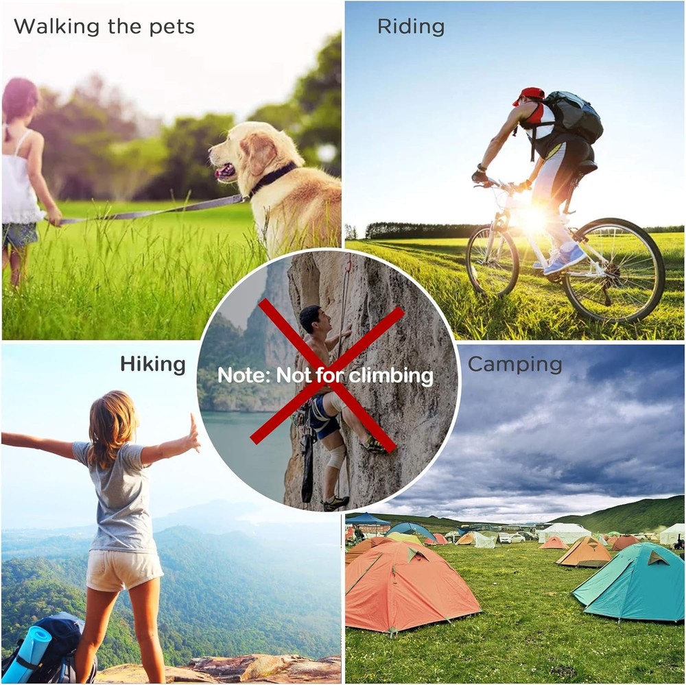 6pcs 2”D-Clip Durable Locking Carabiner Keychain Clip with Hook