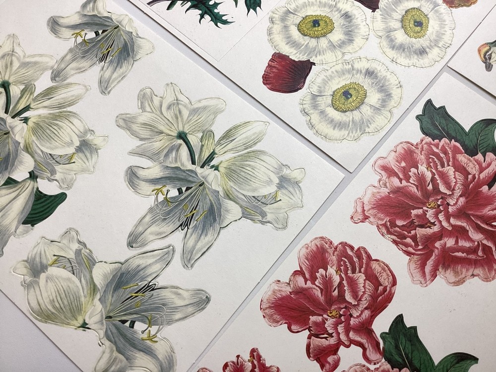 Anna Griffin Antique Botanical Die Cuts 8 Sheets