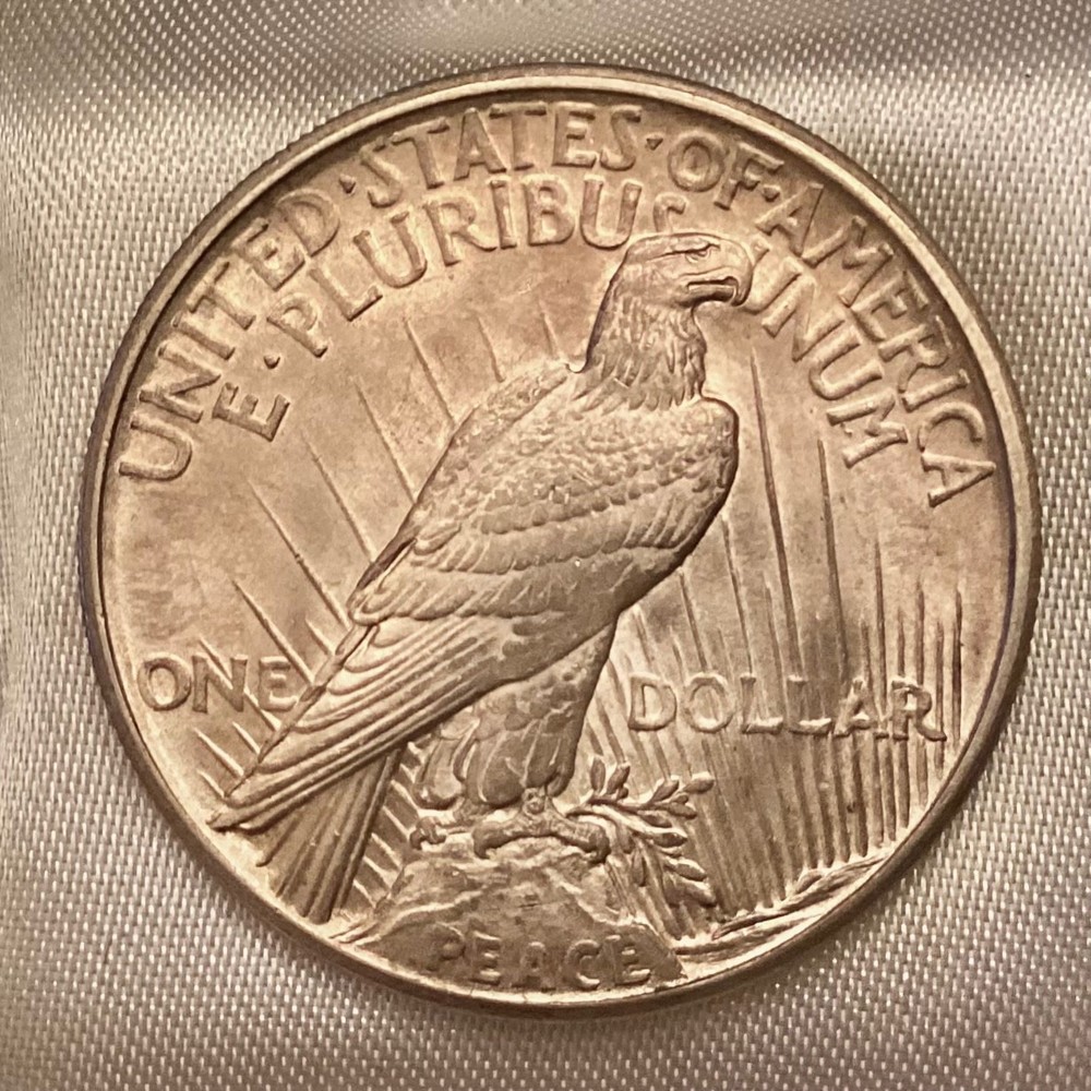 1921 Peace Silver Dollar Uncirculated Unc