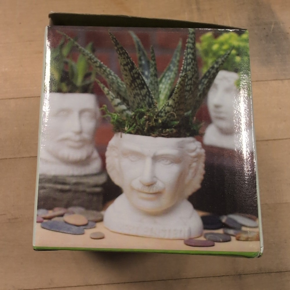 Fertile Minds Albert Einstein Ceramic Planter Pot New Open Box