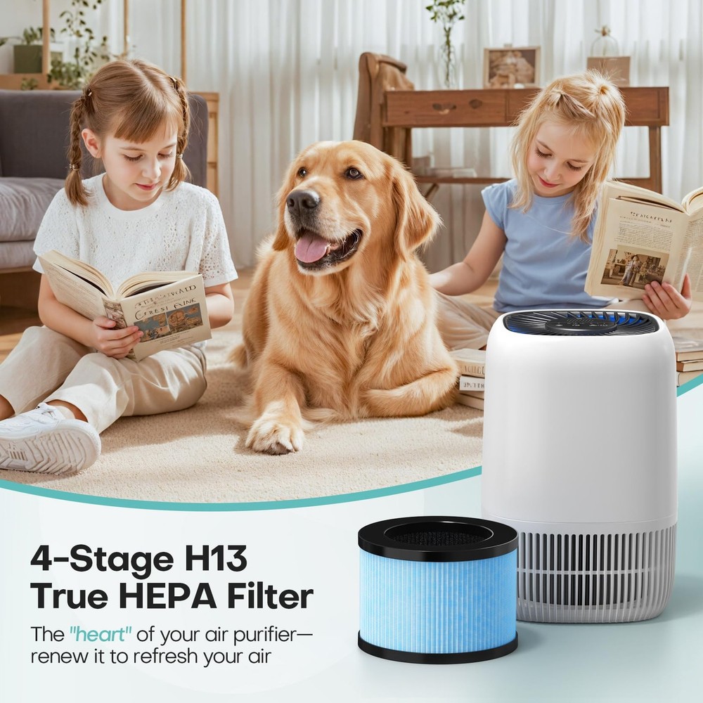 2-Pack Replacement Filter, 4-in-1 H13 True HEPA & Efficiency Activated Carbon...