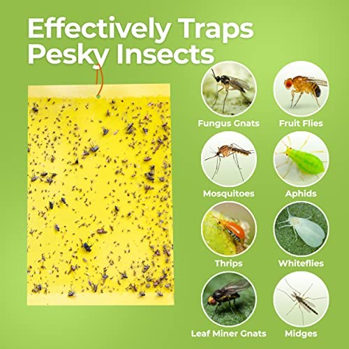 Fruit Fly Trap (20 Pack), Double-Sided Yellow Sticky Traps for Kitchen &