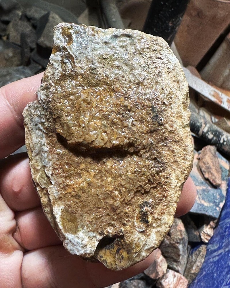 Dinosaur bone rough end cut.