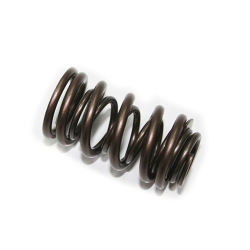 Spi Psychic Exhaust Valve Spring