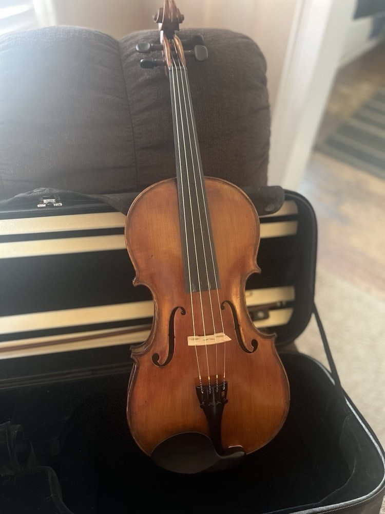 Viola
