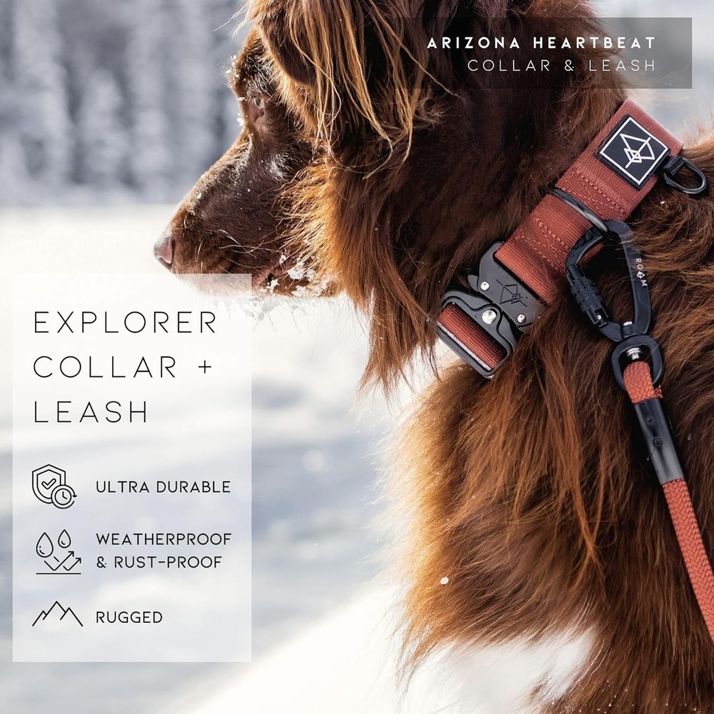 Nylon Dog Collar - Adjustable, Quick-Release Buckle