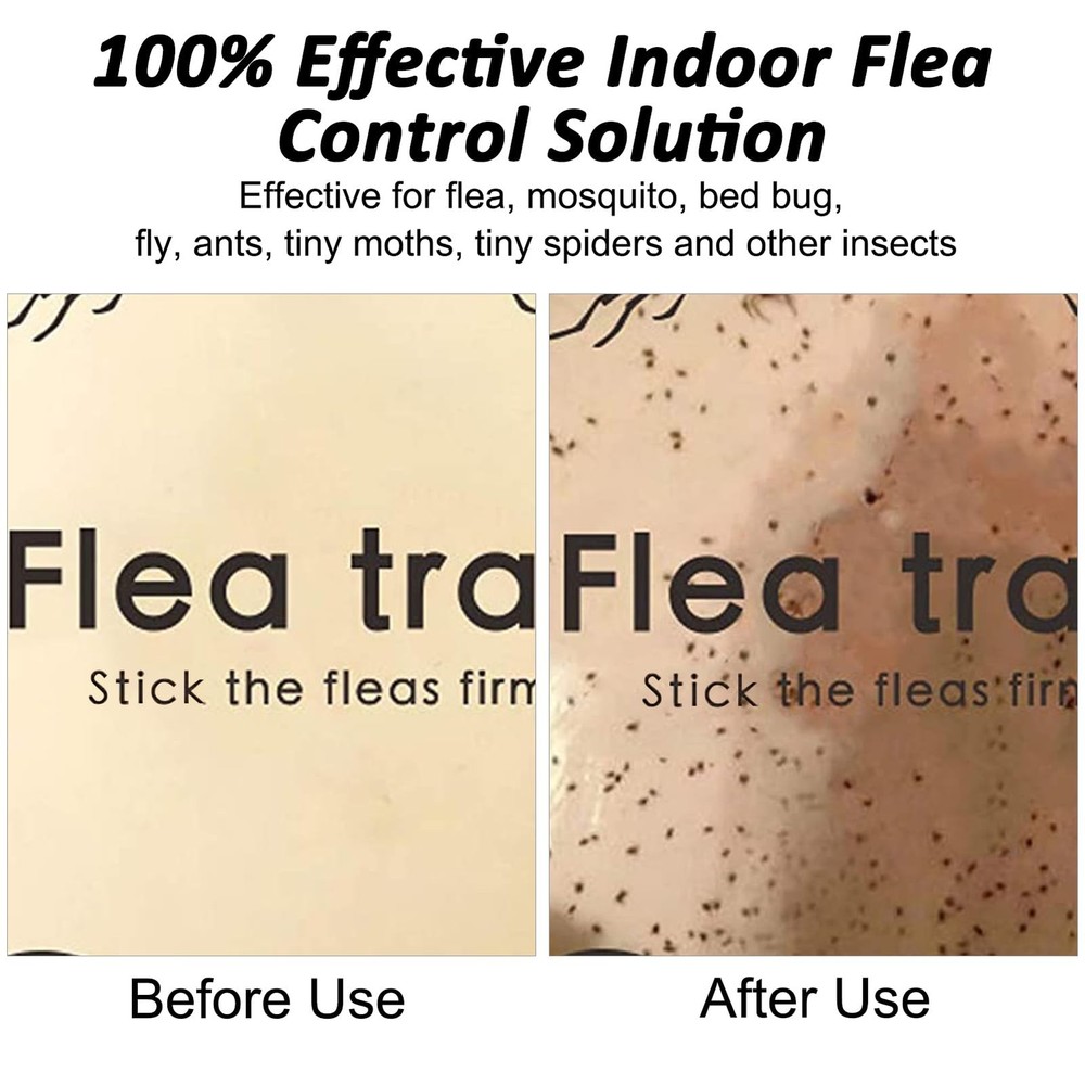 Flea Traps for Inside Your Home, 2 Pack Flea Trap with Sticky Pads Refills & ...