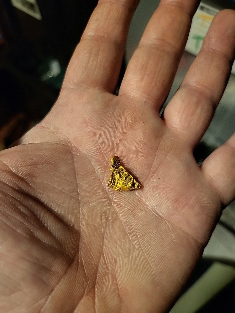 Gold Nugget