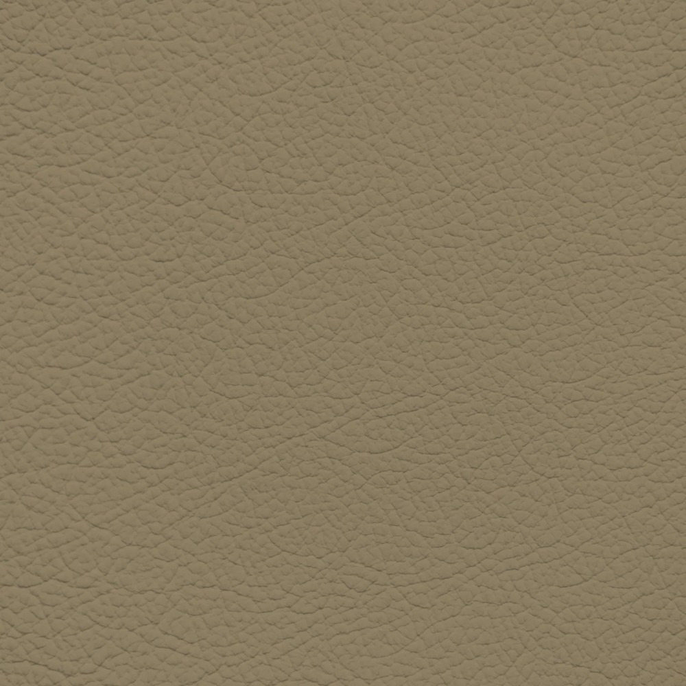 GM Medium Biscuit Leather Dye