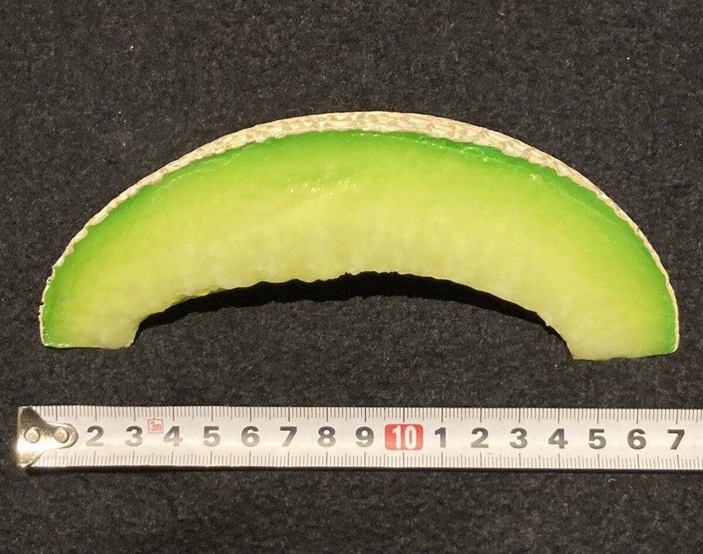 Food sample cut melon large